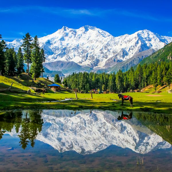 Fairy-Meadows-travels